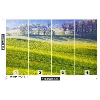 Papel de parede Prado