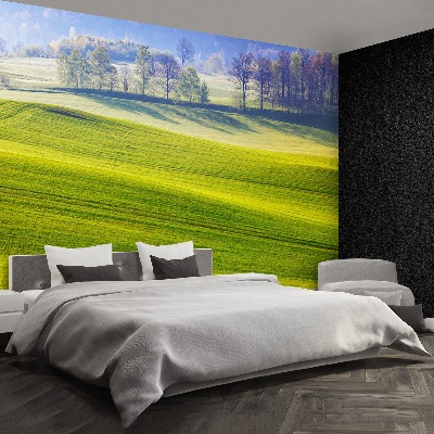 Papel de parede Prado