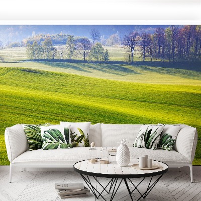 Papel de parede Prado