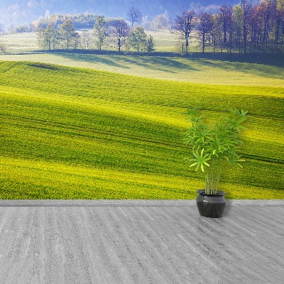 Papel de parede Prado