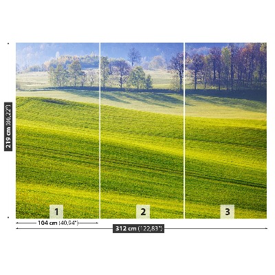 Papel de parede Prado