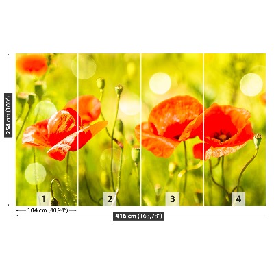 Papel de parede Prado de papoulas