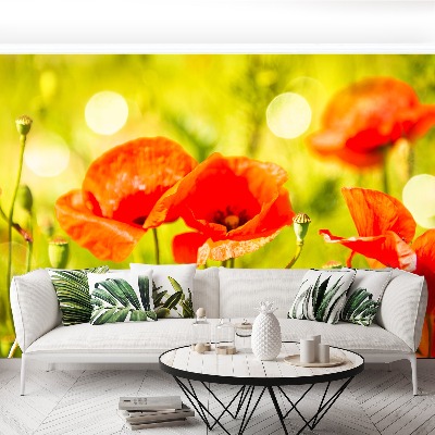 Papel de parede Prado de papoulas