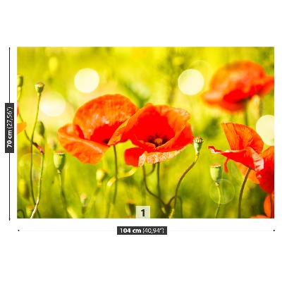 Papel de parede Prado de papoulas