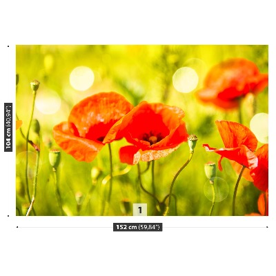 Papel de parede Prado de papoulas