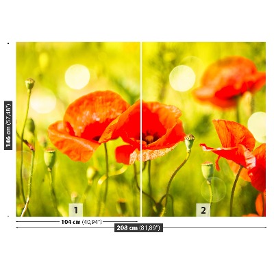 Papel de parede Prado de papoulas