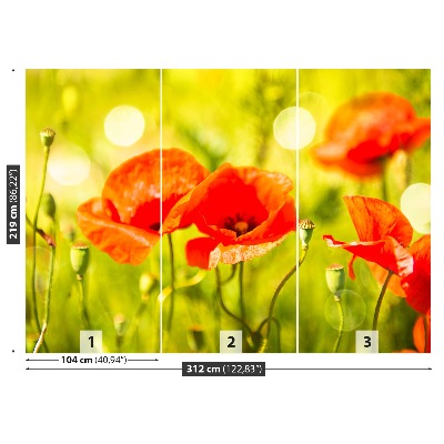 Papel de parede Prado de papoulas