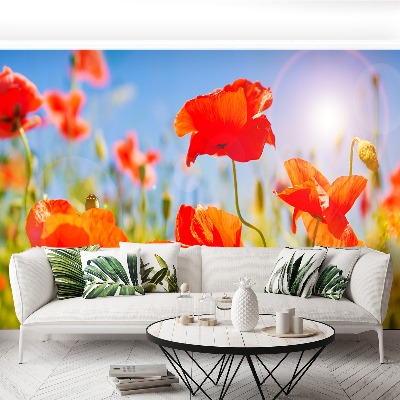 Papel de parede Papoilas vermelhas