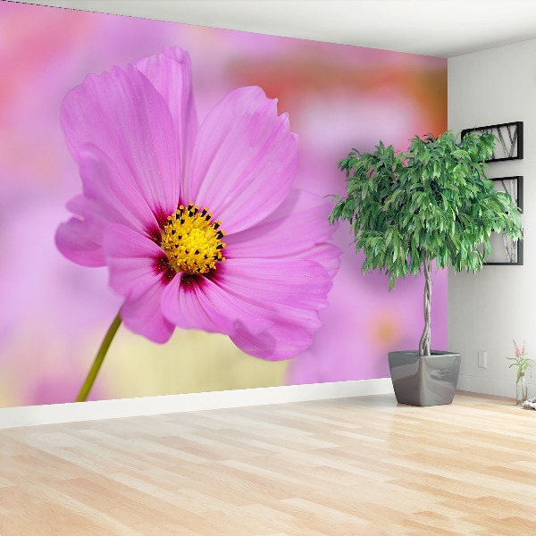 Mural de parede Cosmos Rosa