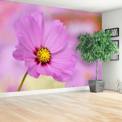 Mural de parede Cosmos Rosa