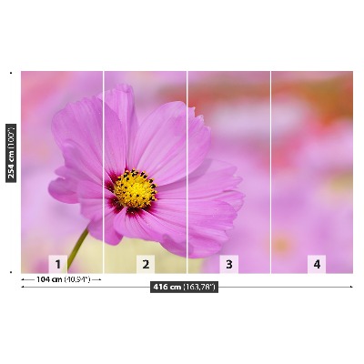 Mural de parede Cosmos Rosa