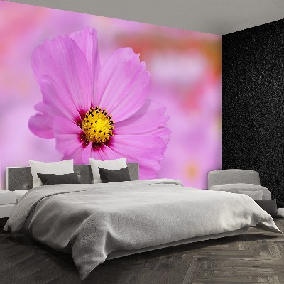 Mural de parede Cosmos Rosa