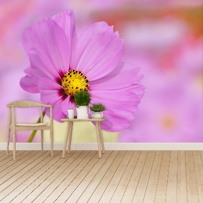 Mural de parede Cosmos Rosa