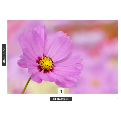 Mural de parede Cosmos Rosa