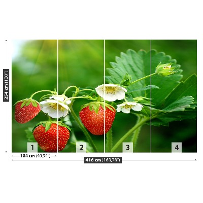 Papel de parede Morango Verde