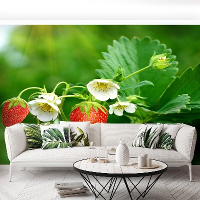 Papel de parede Morango Verde