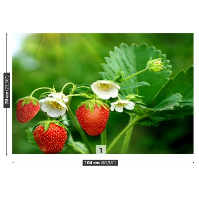 Papel de parede Morango Verde