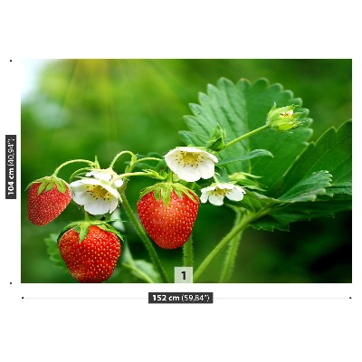 Papel de parede Morango Verde