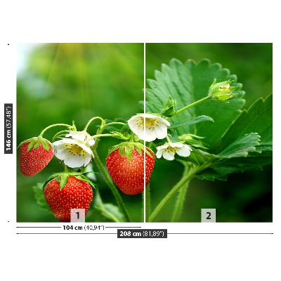 Papel de parede Morango Verde