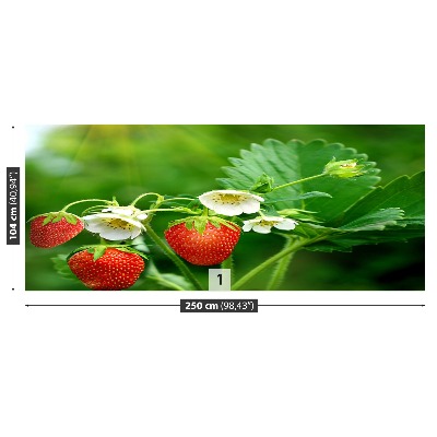 Papel de parede Morango Verde