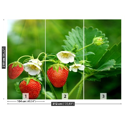 Papel de parede Morango Verde