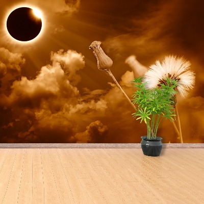 Mural de parede Sol dente-de-leão