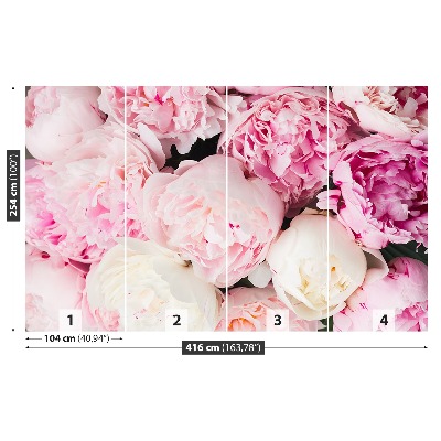 Papel de parede Peônias Rosa