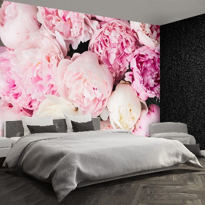 Papel de parede Peônias Rosa
