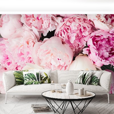 Papel de parede Peônias Rosa