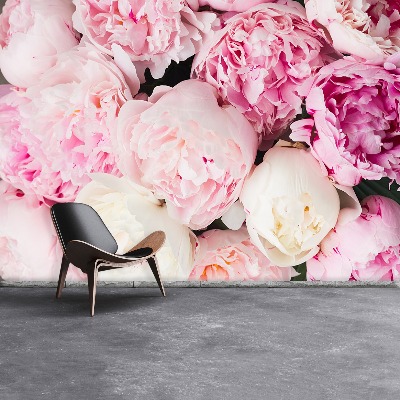 Papel de parede Peônias Rosa