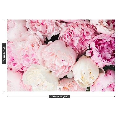 Papel de parede Peônias Rosa