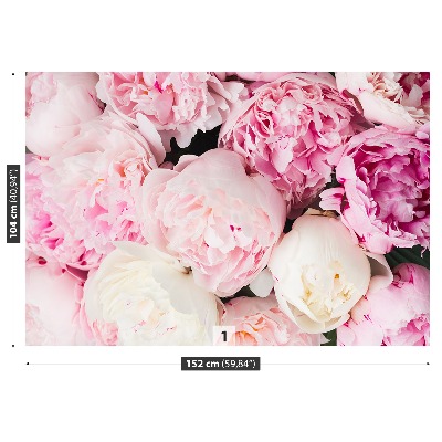 Papel de parede Peônias Rosa