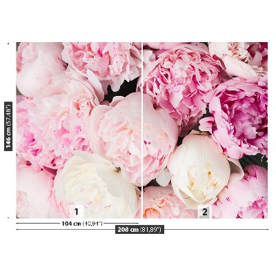 Papel de parede Peônias Rosa