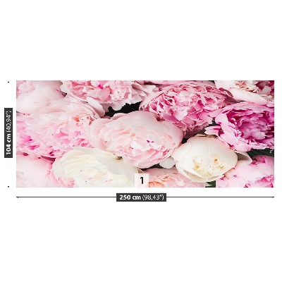 Papel de parede Peônias Rosa