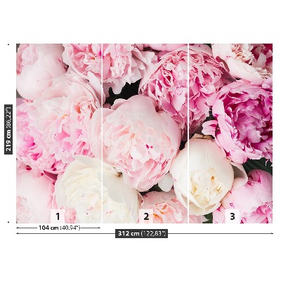 Papel de parede Peônias Rosa