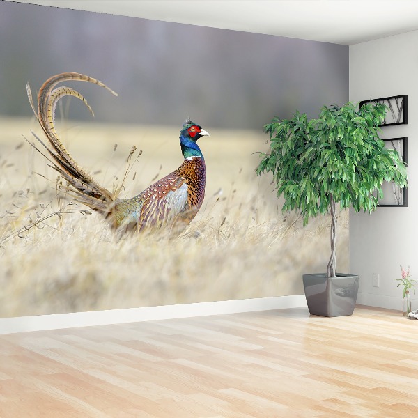 Papel de parede Faisão