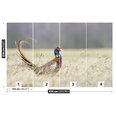 Papel de parede Faisão