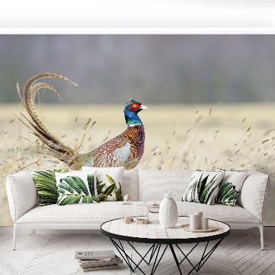 Papel de parede Faisão