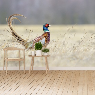 Papel de parede Faisão