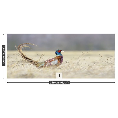 Papel de parede Faisão