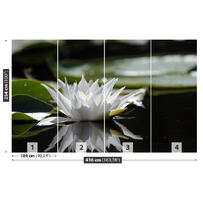 Papel de parede Lótus branco