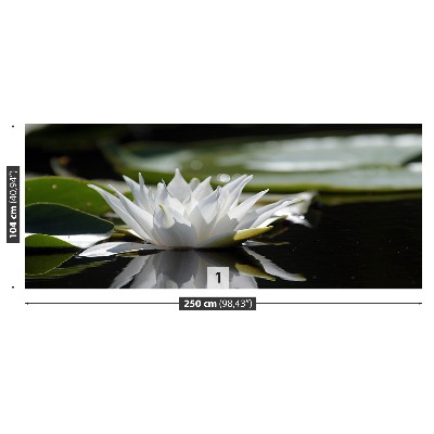 Papel de parede Lótus branco