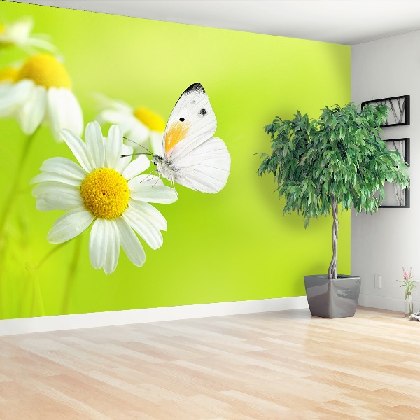 Mural de parede Borboleta e Camomila