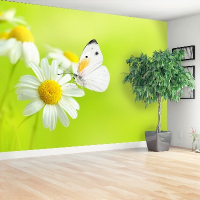 Mural de parede Borboleta e Camomila