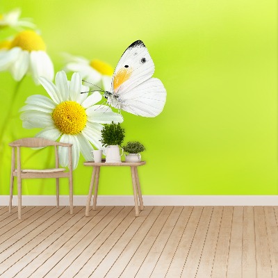 Mural de parede Borboleta e Camomila