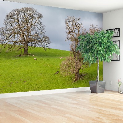 Papel de parede Cervo