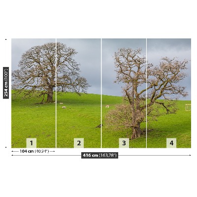 Papel de parede Cervo