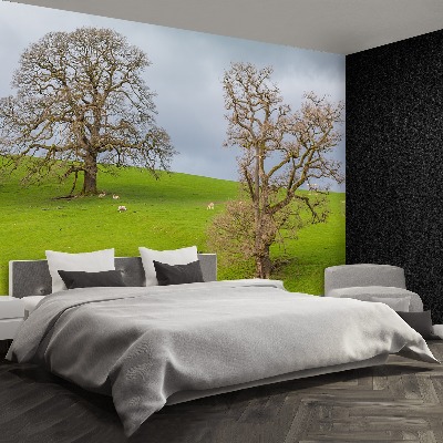 Papel de parede Cervo