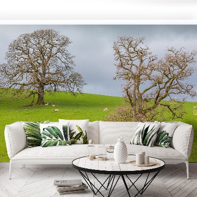 Papel de parede Cervo