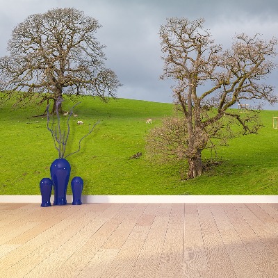 Papel de parede Cervo